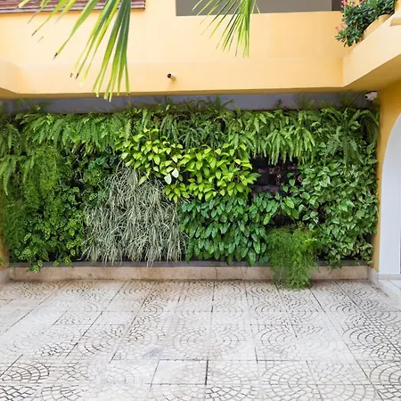 San Martin Hotel 3*