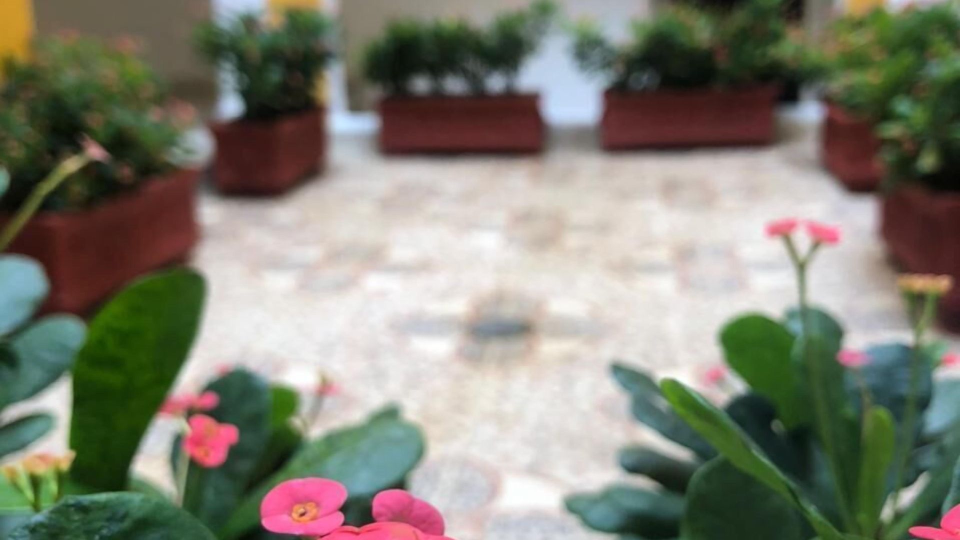 San Martin Hotel Cartagena